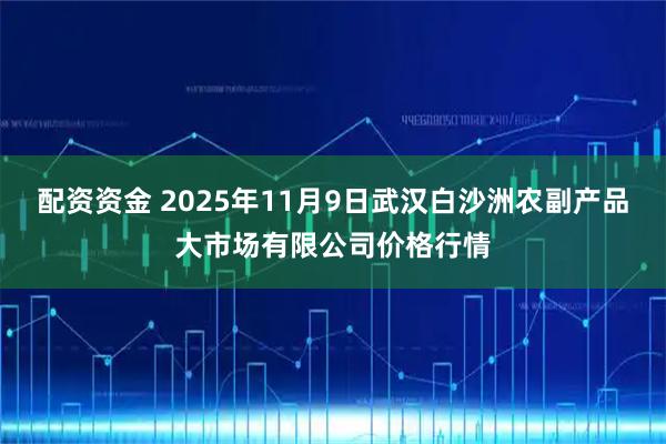配资资金 2025年11月9日武汉白沙洲农副产品大市场有限公司价格行情