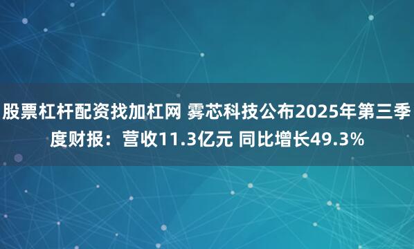 股票杠杆配资找加杠网 雾芯科技公布2025年第三季度财报：营收11.3亿元 同比增长49.3%